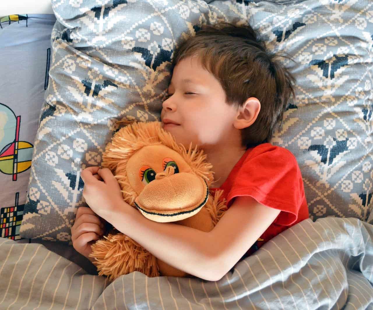 Boy sleeping with toy