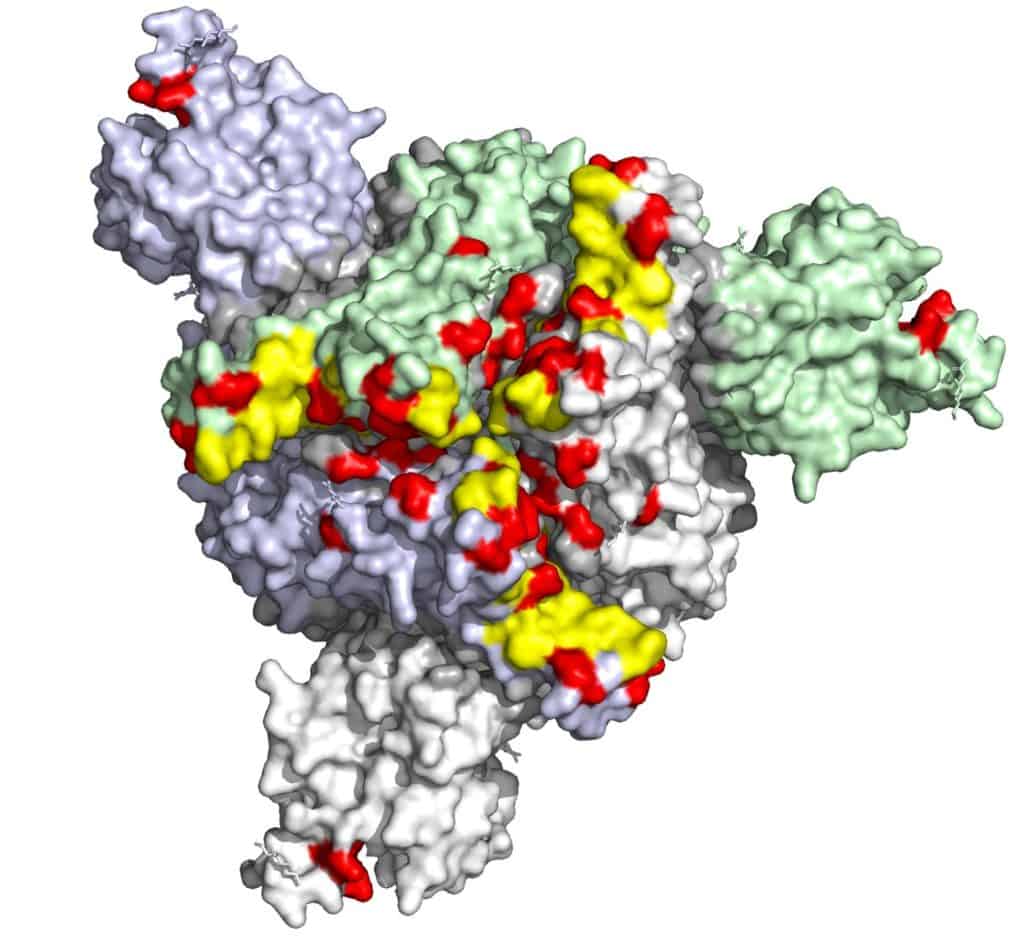 Covid 19 Spike Protein Omicron Variant